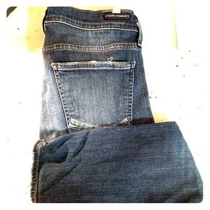 Citizens of Humanity Avedon Ankle 29